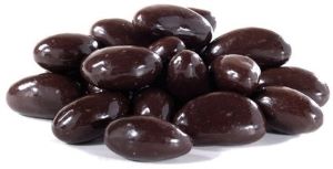 Dark Chocolate Brazil Nuts - 8oz Jar